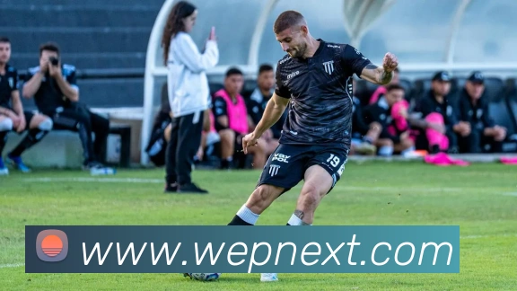 互动解说服务